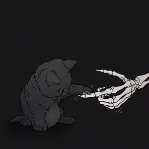 Meet your Posher, Kat